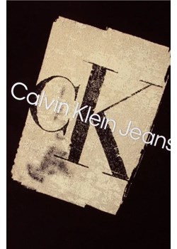 CALVIN KLEIN JEANS T-shirt | Regular Fit ze sklepu Gomez Fashion Store w kategorii T-shirty chłopięce - zdjęcie 172951577