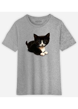 WOOOP Koszulka &quot;Cute Cat&quot; w kolorze szarym ze sklepu Limango Polska w kategorii T-shirty chłopięce - zdjęcie 172998798