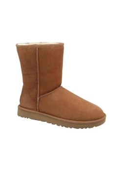 UGG Skórzane śniegowce W Classic Short II | z dodatkiem wełny ze sklepu Gomez Fashion Store w kategorii Śniegowce damskie - zdjęcie 173096529