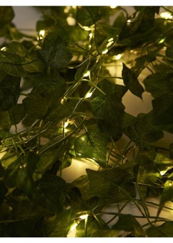 Sinsay - Lampki LED - zielony ze sklepu Sinsay w kategorii Oświetlenie led - zdjęcie 173126329