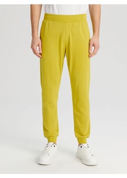 Sinsay - Spodnie dresowe jogger - zielony ze sklepu Sinsay w kategorii Spodnie męskie - zdjęcie 173132326