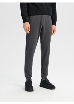 Sinsay - Spodnie dresowe jogger - szary ze sklepu Sinsay w kategorii Spodnie męskie - zdjęcie 173132329