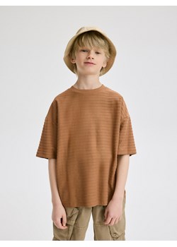 Reserved - T-shirt z naszywką - brązowy ze sklepu Reserved w kategorii T-shirty chłopięce - zdjęcie 173140187