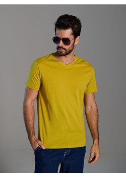Sinsay - Koszulka - zielony ze sklepu Sinsay w kategorii T-shirty męskie - zdjęcie 173296017