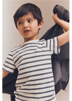 H & M - Bawełniany T-shirt - Szary ze sklepu H&M w kategorii T-shirty chłopięce - zdjęcie 173311718