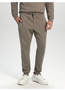 Sinsay - Spodnie dresowe jogger - szary ze sklepu Sinsay w kategorii Spodnie męskie - zdjęcie 173320559