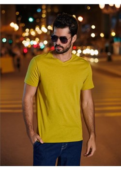 Sinsay - Koszulka - zielony ze sklepu Sinsay w kategorii T-shirty męskie - zdjęcie 173403356