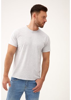 Szaro-Srebrna Koszulka Tinacora ze sklepu Born2be Odzież w kategorii T-shirty męskie - zdjęcie 173406956
