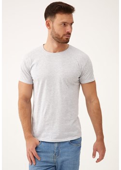 Szara Koszulka Tinarene ze sklepu Born2be Odzież w kategorii T-shirty męskie - zdjęcie 173413736