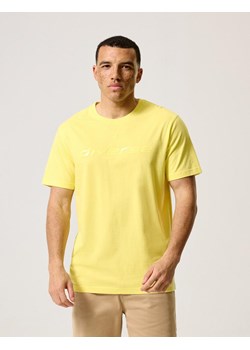 Koszulka CORE LOGO 243 Żółty S ze sklepu Diverse w kategorii T-shirty męskie - zdjęcie 173533945
