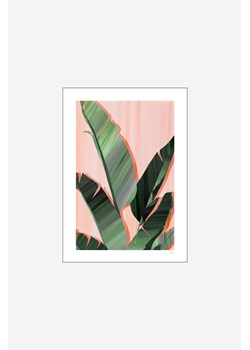 H & M - Violets Print House - Banana Leaves - Biały ze sklepu H&M w kategorii Plakaty - zdjęcie 173540167