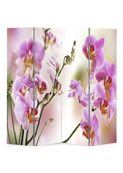 Rokładany parawan z nadrukiem kwiatowym W8-W58 - id: 24713 - marki Elior - 173567455 Rokładany parawan z nadrukiem kwiatowym W8-W58 ze sklepu Edinos.pl w kategorii Meble - zdjęcie 173567455