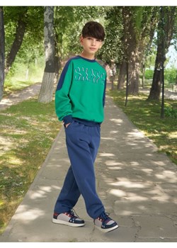 Sinsay - Bluza - zielony ze sklepu Sinsay w kategorii Bluzy chłopięce - zdjęcie 173609536