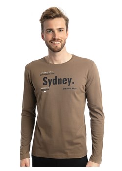 Roadsign Koszulka w kolorze brązowym ze sklepu Limango Polska w kategorii T-shirty męskie - zdjęcie 173663025