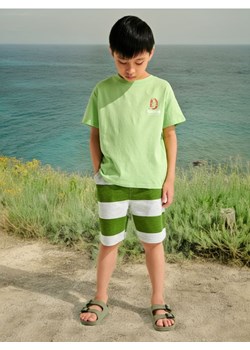 Sinsay - Koszulka z nadrukiem - zielony ze sklepu Sinsay w kategorii T-shirty chłopięce - zdjęcie 173720236