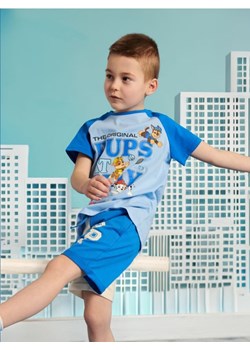 Sinsay - Koszulka Psi Patrol - niebieski ze sklepu Sinsay w kategorii T-shirty chłopięce - zdjęcie 173720338