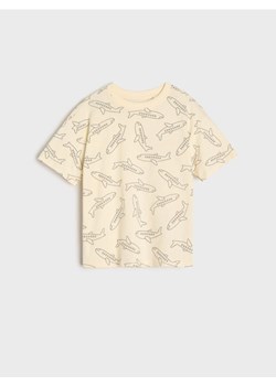 Sinsay - Koszulka - kremowy ze sklepu Sinsay w kategorii T-shirty chłopięce - zdjęcie 173720496