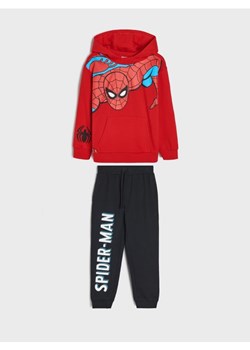 Sinsay - Komplet dresowy Spiderman - czerwony ze sklepu Sinsay w kategorii Dresy chłopięce - zdjęcie 173743169