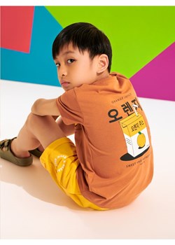 Sinsay - Koszulka - brązowy ze sklepu Sinsay w kategorii T-shirty chłopięce - zdjęcie 173792536