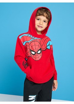Sinsay - Komplet dresowy Spiderman - czerwony ze sklepu Sinsay w kategorii Dresy chłopięce - zdjęcie 173810968