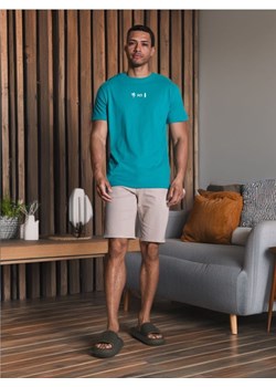 Sinsay - Koszulka - zielony ze sklepu Sinsay w kategorii T-shirty męskie - zdjęcie 173849335