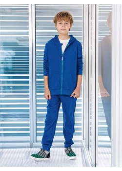 Sinsay - Bluza - niebieski ze sklepu Sinsay w kategorii Bluzy chłopięce - zdjęcie 173874205
