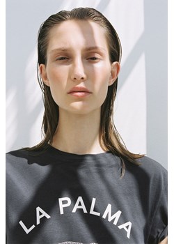 H & M - Bawełniany T-shirt - Szary ze sklepu H&M w kategorii Bluzki damskie - zdjęcie 173879078