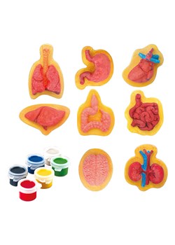 Explora Zestaw do malowania - 4+ ze sklepu Limango Polska w kategorii Zabawki - zdjęcie 173928335