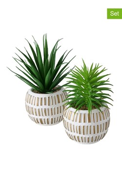 Boltze Sztuczne rośliny (2 szt.) &quot;Aloe&quot; w kolorze zielonym - wys. 13 cm ze sklepu Limango Polska w kategorii Doniczki i osłonki - zdjęcie 174010397