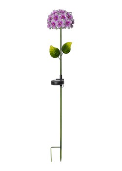 STAR Trading Solarna lampa ogrodowa LED &quot;Hortensia&quot; w kolorze fioletowym - wys. 77 cm ze sklepu Limango Polska w kategorii Oświetlenie ogrodowe - zdjęcie 174012158