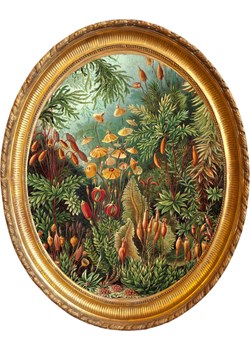 Madre Selva Dekoracja ścienna &quot;Deep Forest&quot; - 50 x 40 cm ze sklepu Limango Polska w kategorii Obrazy - zdjęcie 174153178