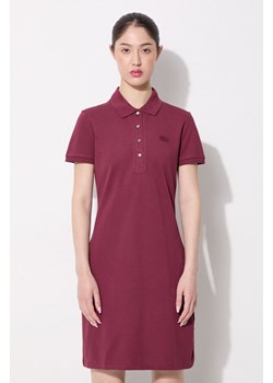 Lacoste sukienka kolor bordowy mini prosta ze sklepu PRM w kategorii Sukienki - zdjęcie 174695809