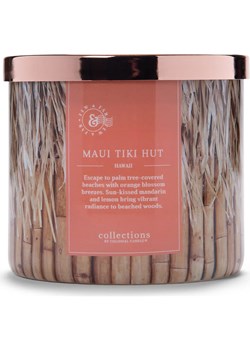 Colonial Candle Świeca zapachowa "Maui Tiki Hut" - 411 g ze sklepu Limango Polska w kategorii Świece i dyfuzory - zdjęcie 174786859