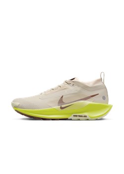 Damskie wodoszczelne buty do biegania w terenie Nike Pegasus Trail 5 GORE-TEX - Brązowy ze sklepu Nike poland w kategorii Buty sportowe damskie - zdjęcie 174826538