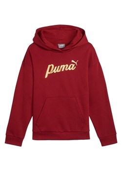 Bluza juniorska Ess+ Script Metallic Hoodie Puma ze sklepu SPORT-SHOP.pl w kategorii Bluzy dziewczęce - zdjęcie 174860595