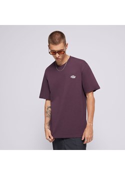 DICKIES T-SHIRT SUMMERDALE SS TEE ze sklepu Sizeer w kategorii T-shirty męskie - zdjęcie 174948176