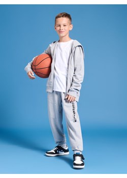 Sinsay - Bluza rozpinana z kapturem - szary ze sklepu Sinsay w kategorii Bluzy chłopięce - zdjęcie 175004065