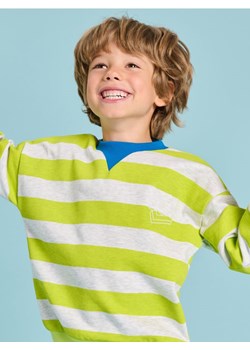 Sinsay - Bluza - zielony ze sklepu Sinsay w kategorii Bluzy chłopięce - zdjęcie 175004098