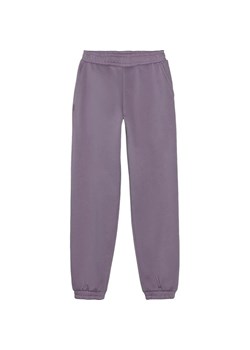 Spodnie dresowe dziewczęce TTROF754 4F ze sklepu SPORT-SHOP.pl w kategorii Spodnie dziewczęce - zdjęcie 175199759