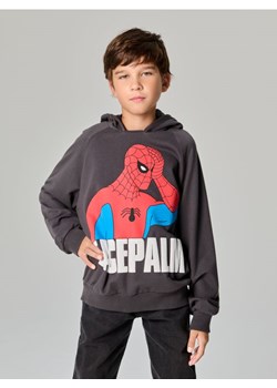 Sinsay - Bluza Spiderman - szary ze sklepu Sinsay w kategorii Bluzy chłopięce - zdjęcie 175474075