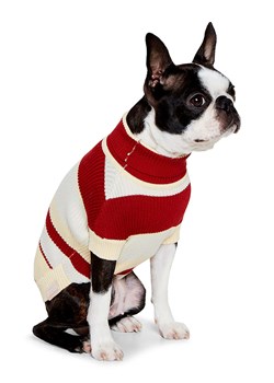 VOV &amp; VUF Sweter w kolorze bordowo-beżowym dla psa ze sklepu Limango Polska w kategorii Dla zwierząt - zdjęcie 175498245
