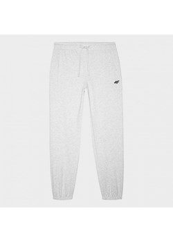 Męskie spodnie dresowe joggery 4F 4FWMM00TTROM1139 - szare ze sklepu Sportstylestory.com w kategorii Spodnie męskie - zdjęcie 175556837