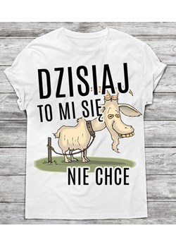 Koszulka męska ze sklepu Time For Fashion w kategorii T-shirty męskie - zdjęcie 175632705