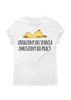 Koszulka dla chłopaka ze sklepu Time For Fashion w kategorii T-shirty męskie - zdjęcie 175633515