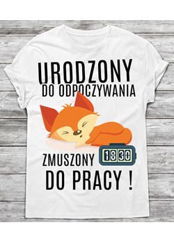 koszulka MĘSKA NA PREZENT ze sklepu Time For Fashion w kategorii T-shirty męskie - zdjęcie 175633849