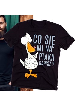 Koszulka męska co się mi na ptaka gapisz ? ze sklepu Time For Fashion w kategorii T-shirty męskie - zdjęcie 175639095