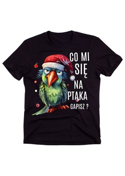 KOSZULKA MĘSKA CO MI SIĘ NA PTAKA GAPISZ ze sklepu Time For Fashion w kategorii T-shirty męskie - zdjęcie 175640149