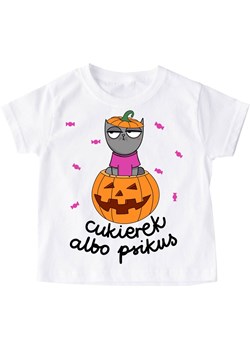 koszulka na dzień dyni na halloween ze sklepu Time For Fashion w kategorii Bluzki dziewczęce - zdjęcie 175642437