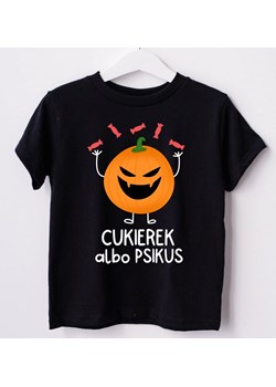 koszulka na dzień dyni dla dziecka - id: 143287 - marki Timeforf - 175642489 koszulka na dzień dyni dla dziecka ze sklepu Time For Fashion w kategorii Bluzki dziewczęce - zdjęcie 175642489