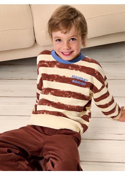 Sinsay - Bluza - kremowy ze sklepu Sinsay w kategorii Bluzy chłopięce - zdjęcie 175647905